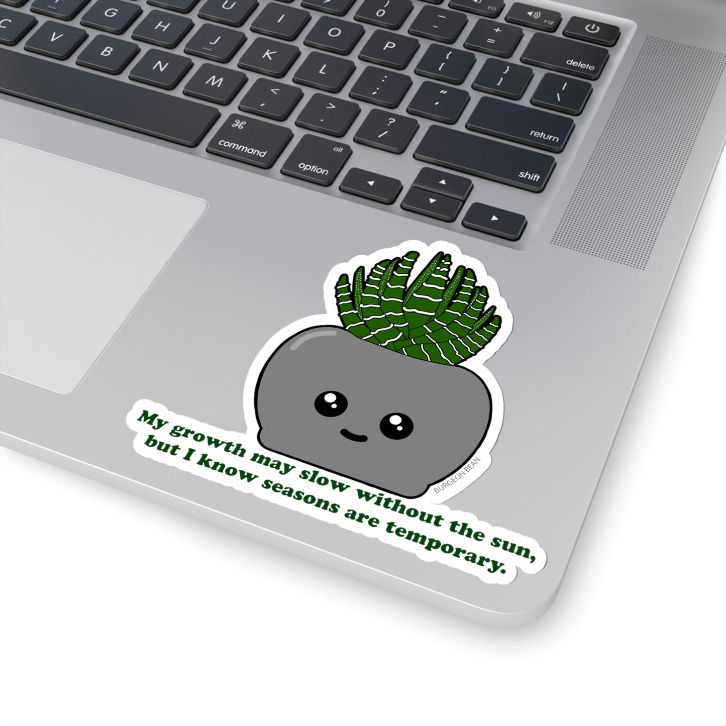 SAD Succulent Sticker