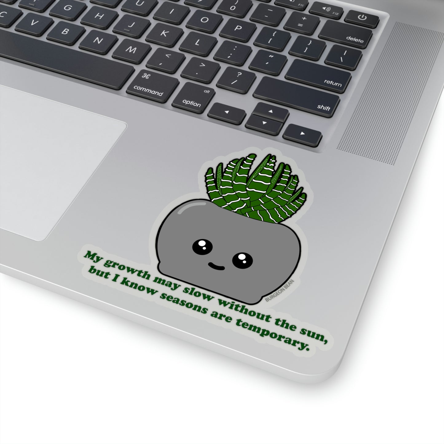 SAD Succulent Sticker