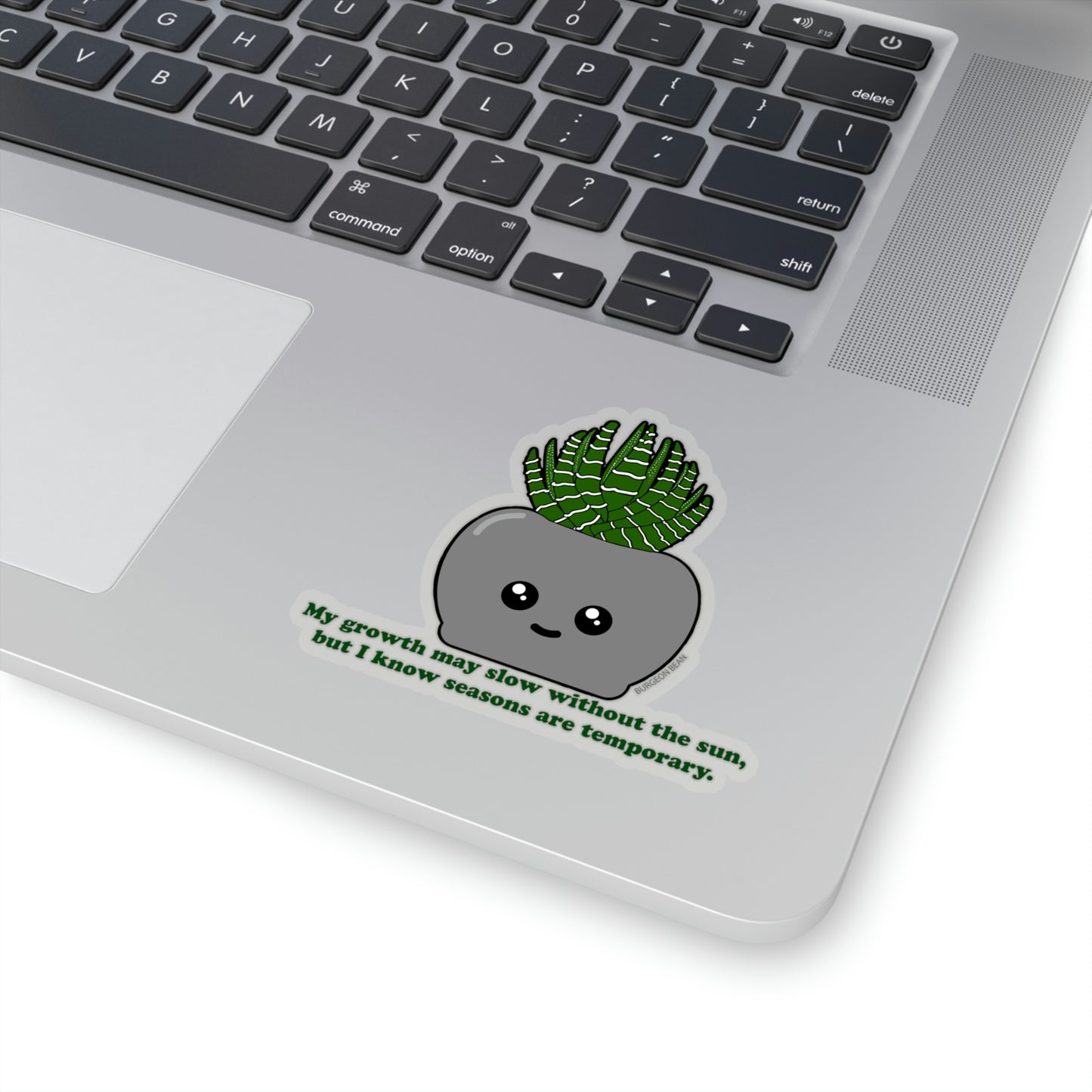 SAD Succulent Sticker