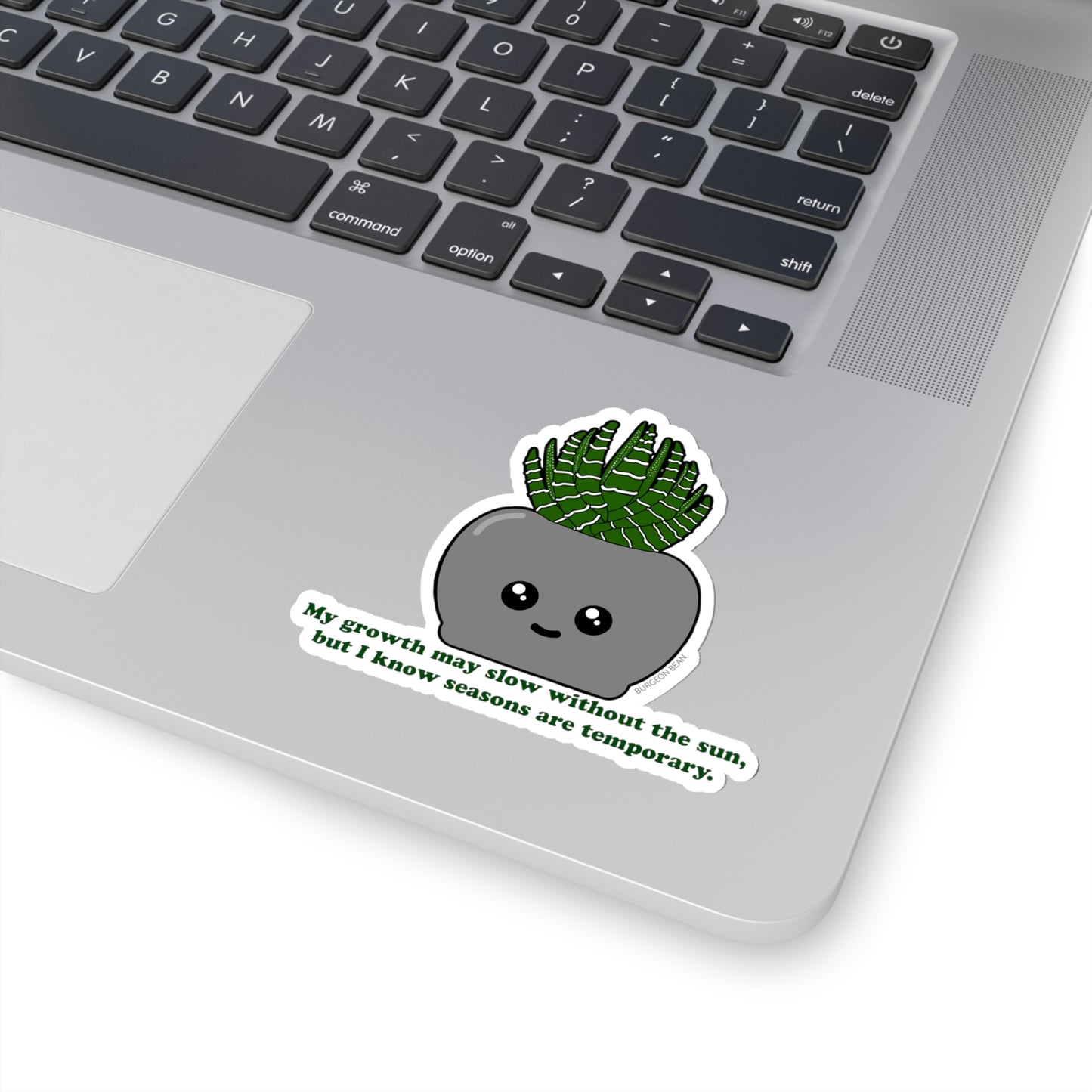 SAD Succulent Sticker